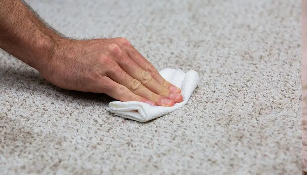 از بین بردن انواع لکه از روی فرش